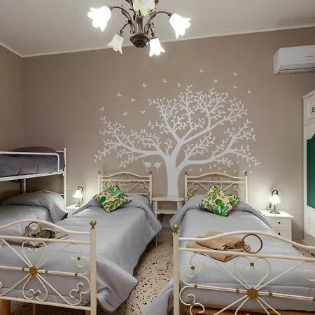 شقة My House *